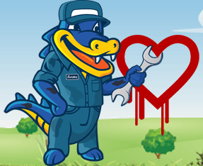 heartbleed bug heartbleed bug