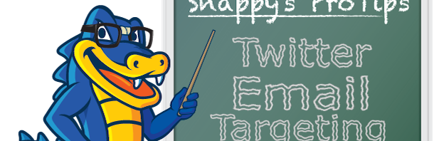Target On Twitter With Email