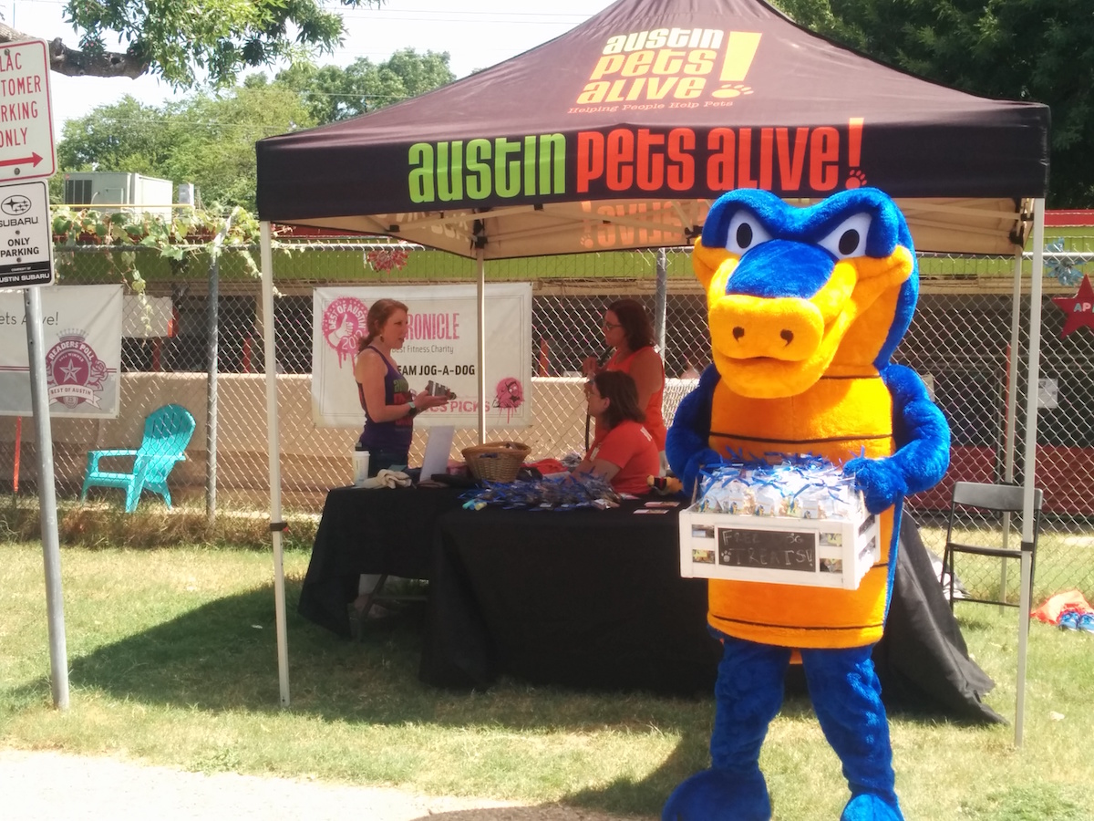 Snappy Austin Pets Alive
