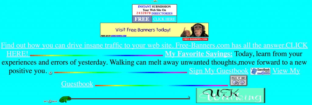 1990s Website Example