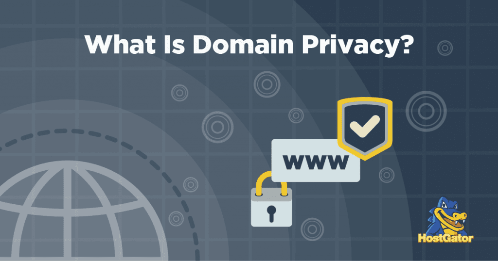 what is domain privacy and why do you need it