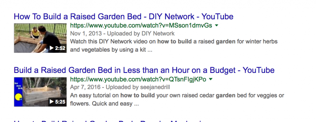 example of video rich results