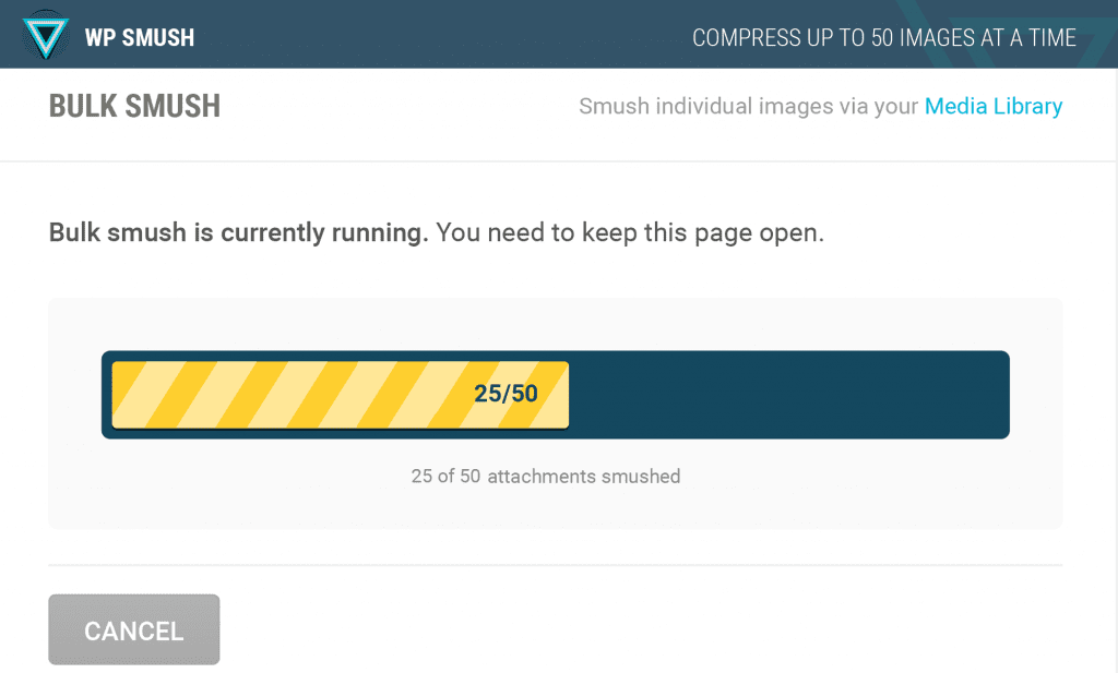 wp smush wordpress plugin